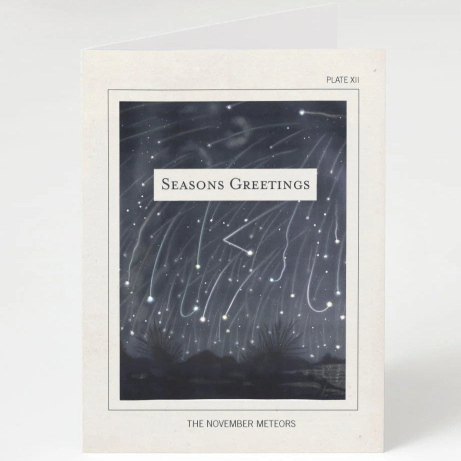 an off white greeting card with an artists rendering of the Leonids meteor shower which reads "Seasons Greetings" over the night sky image and reads "November Meteors" below the image