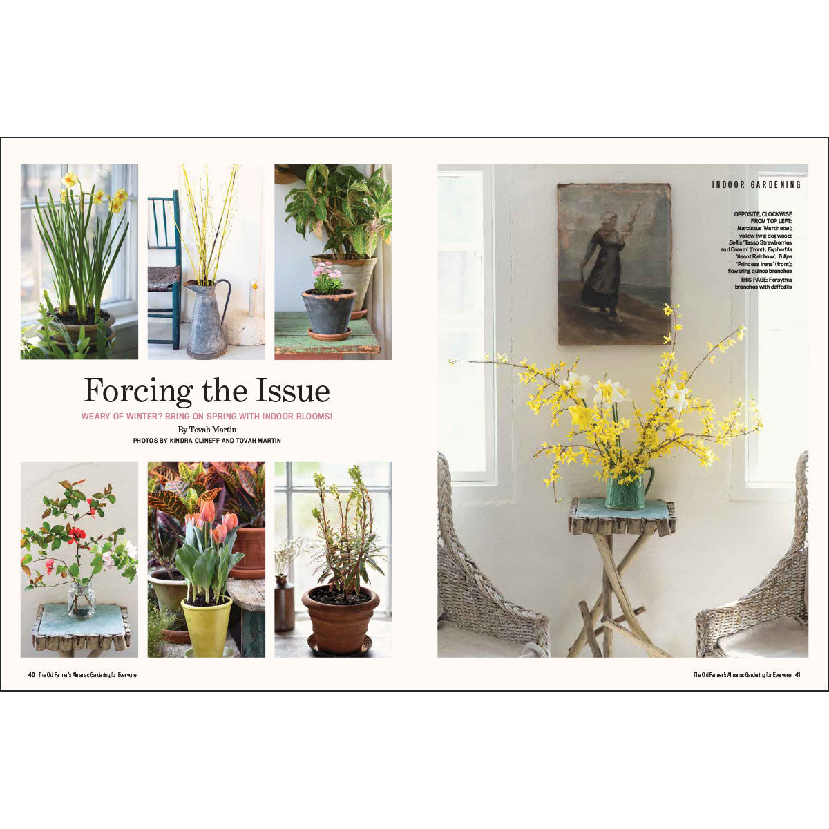Magazine layout with indoor plants and a painting on a white background
