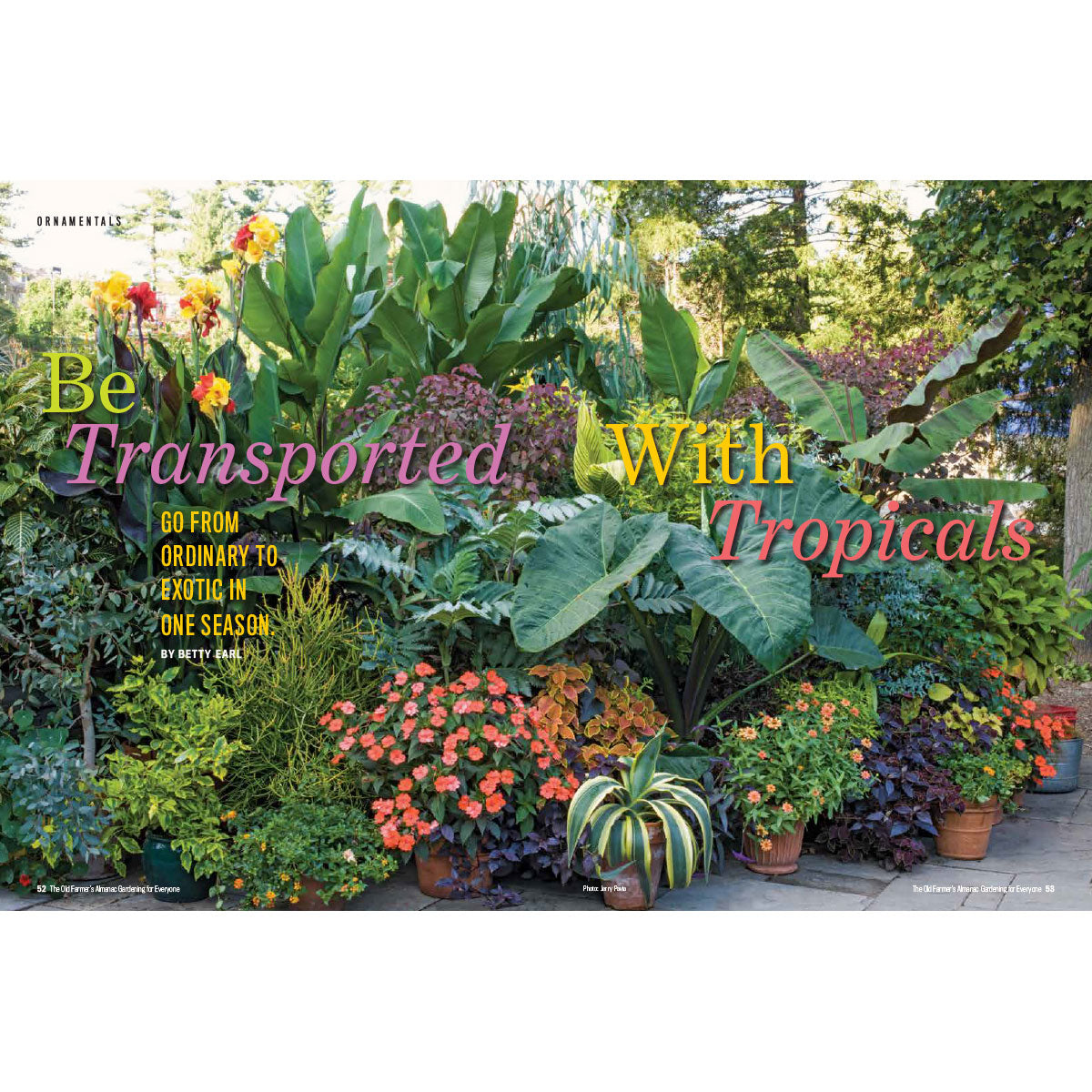 Garden scene with tropical plants and flowers, featuring text about transporting oneself to a tropical paradise.