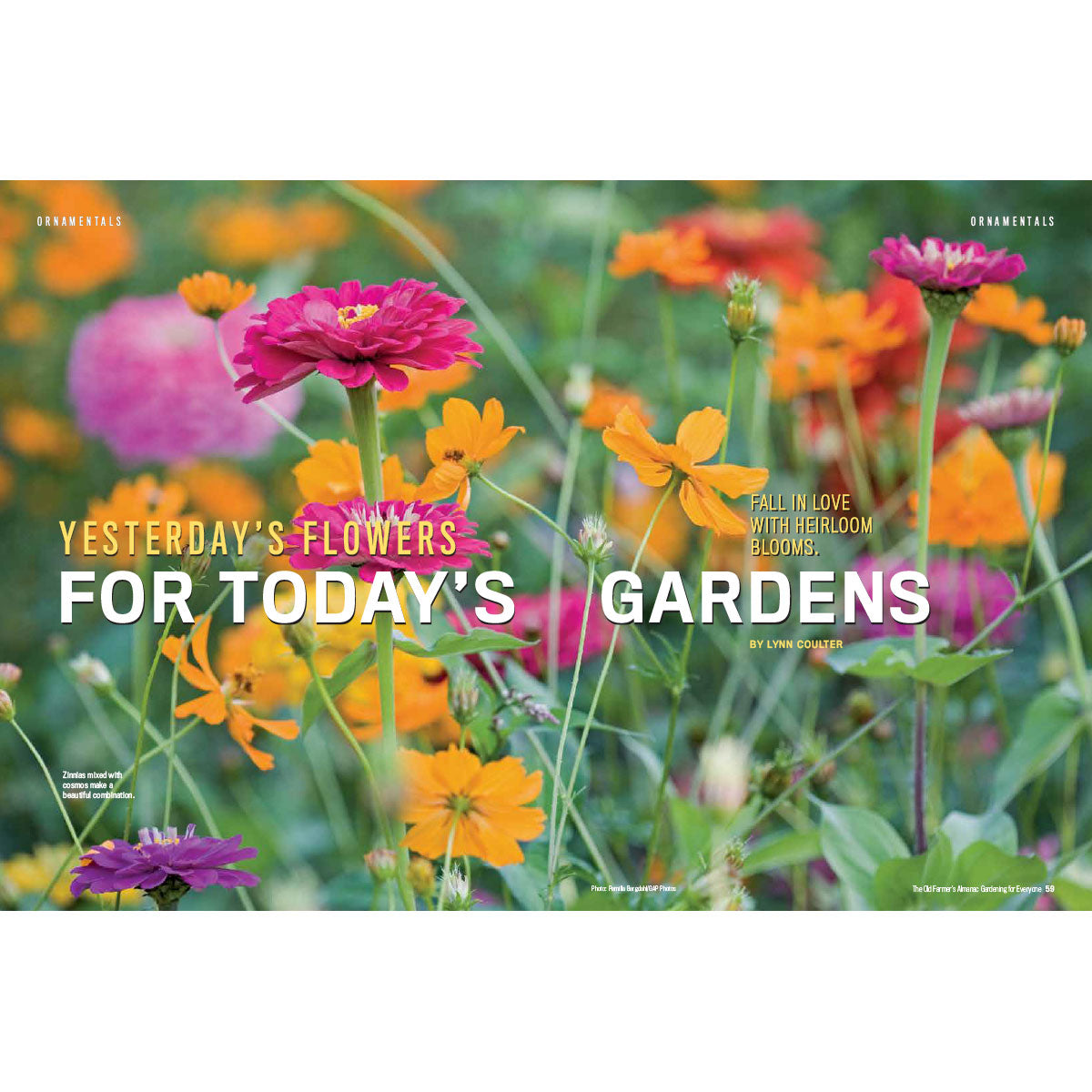 Book cover with colorful flowers and text 'Yesterday's Flowers for Today's Gardens' by Lynda Coates.