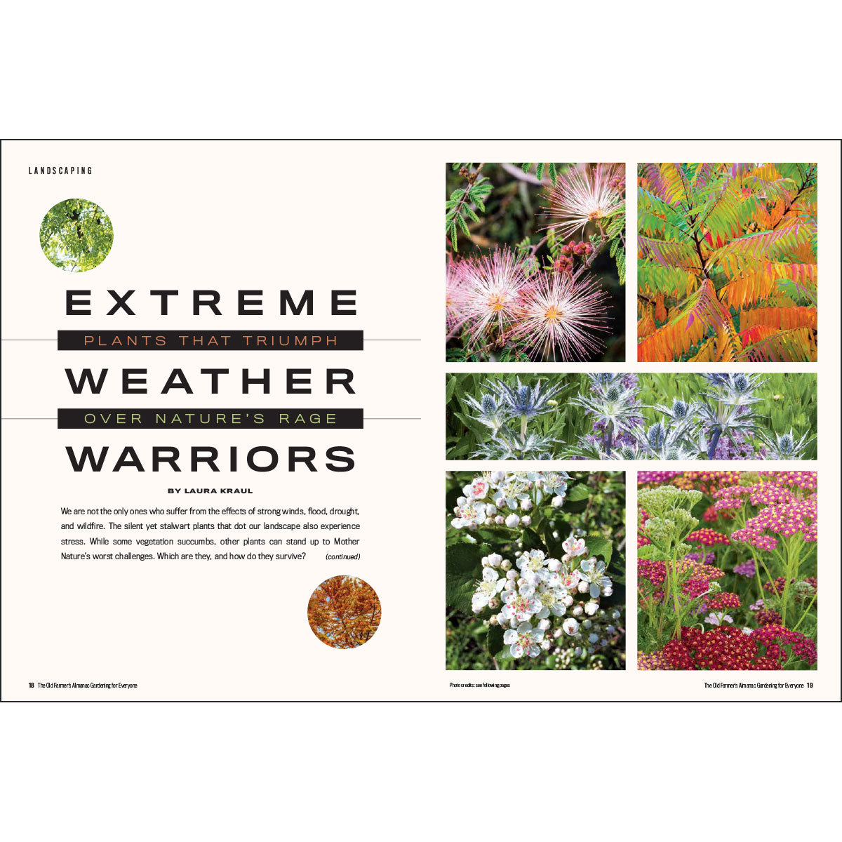 Magazine spread with images of plants and text about extreme weather warriors