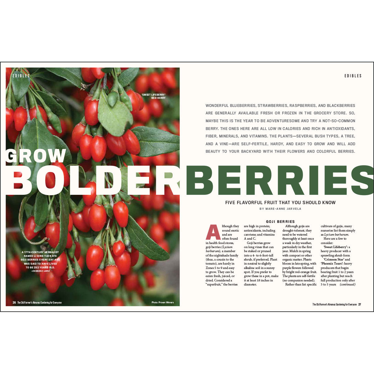 Magazine page with red berries and text about growing bolder berries