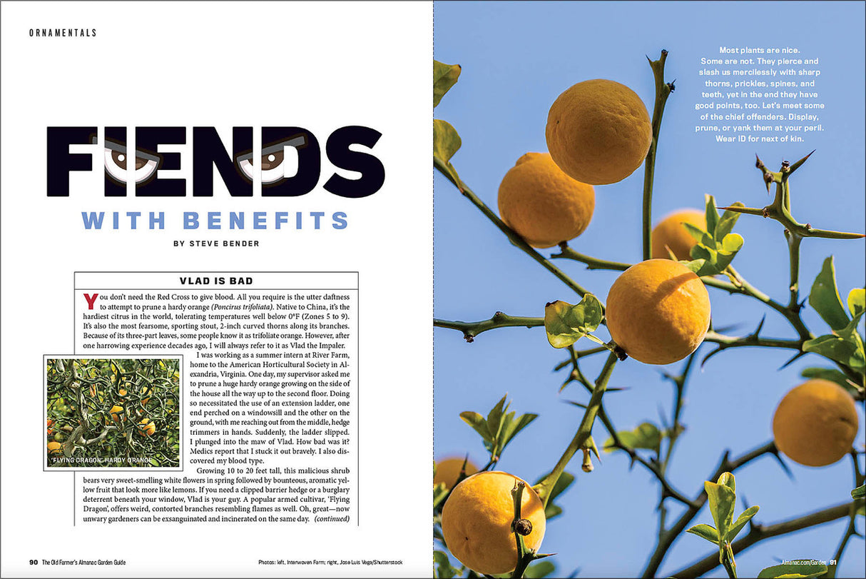 2024 Garden Guide - Online Edition