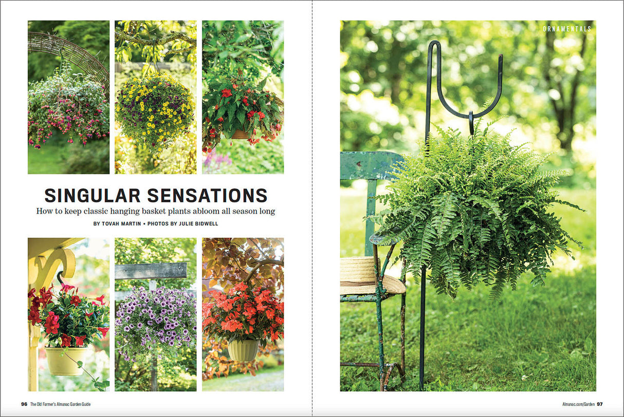 2024 Garden Guide - Online Edition