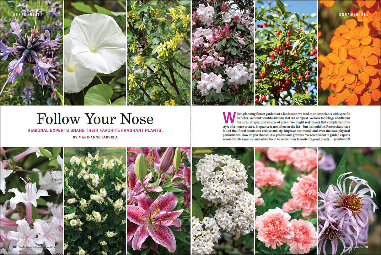 2024 Garden Guide - Online Edition