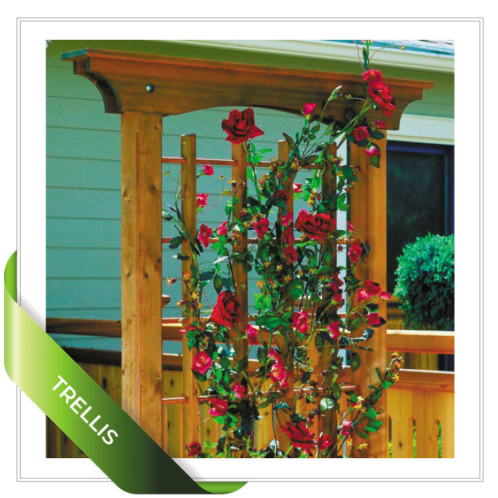 Classic Garden Projects SuperBundle