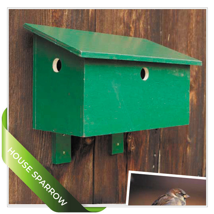 Birdhouse Projects SuperBundle
