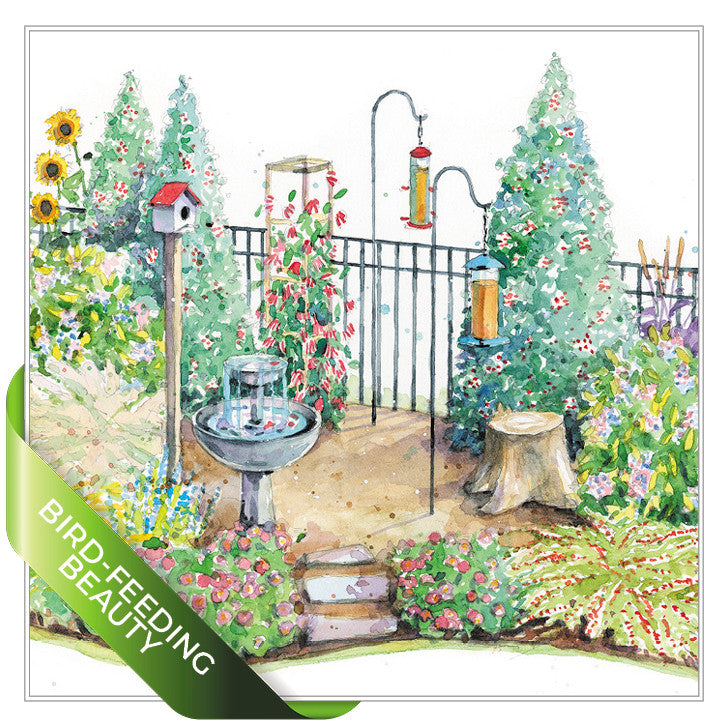 Bird-Feeding Beauty Garden Plan
