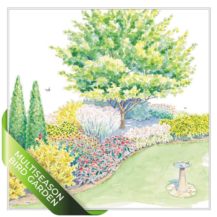 Multiseason Bird Garden