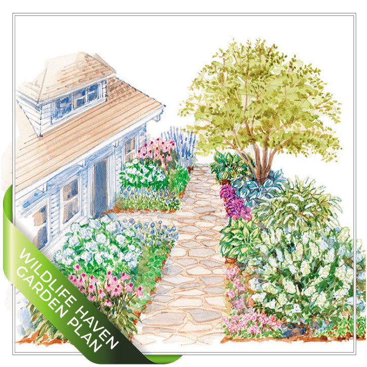 Wildlife Haven Garden Plan