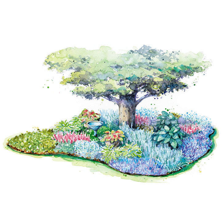 Shade Garden - Tapestry Under a Tree - Landscaping Around Tree Roots