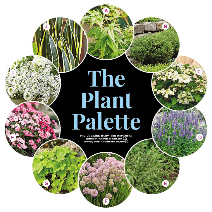 Full Sun Garden - Liven Up Your Entry Garden Plan