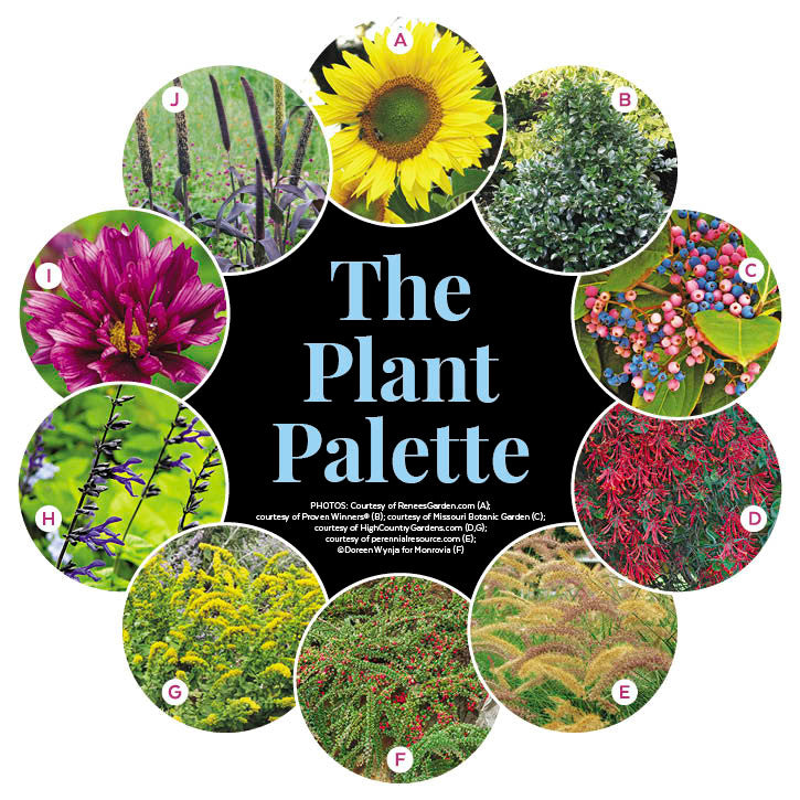 Wildlife Garden - Bird-Feeding Beauty Garden Plan