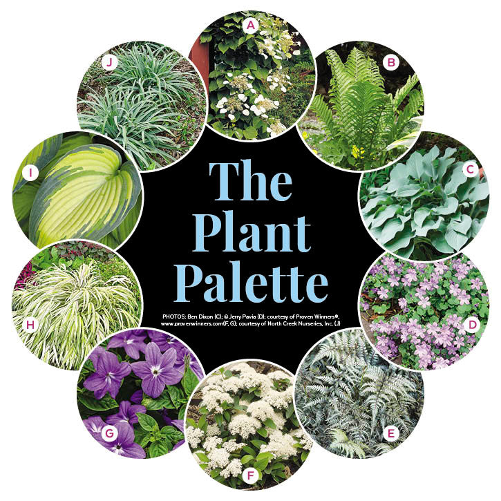 Shady Retreat Garden Plan