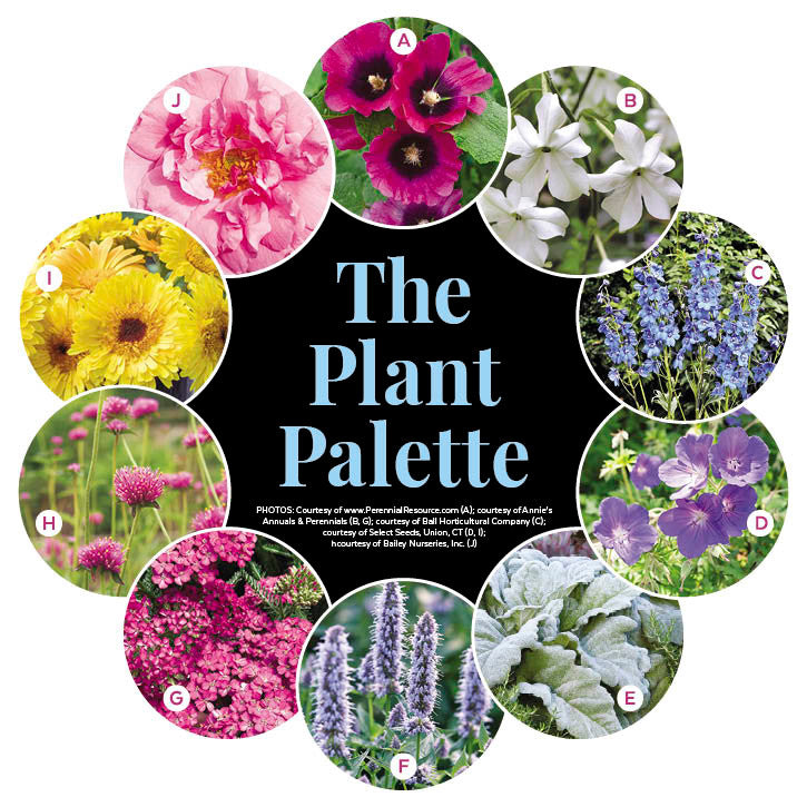 Full Sun Garden - Dress Up a Shed Garden Plan