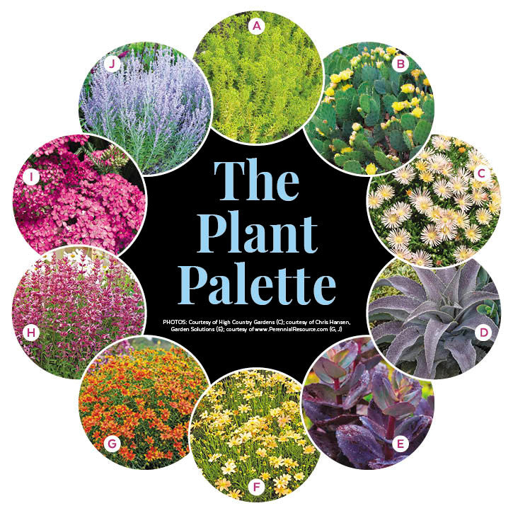 Full Sun Garden - Surround Your Sidewalk with Color Garden Plan