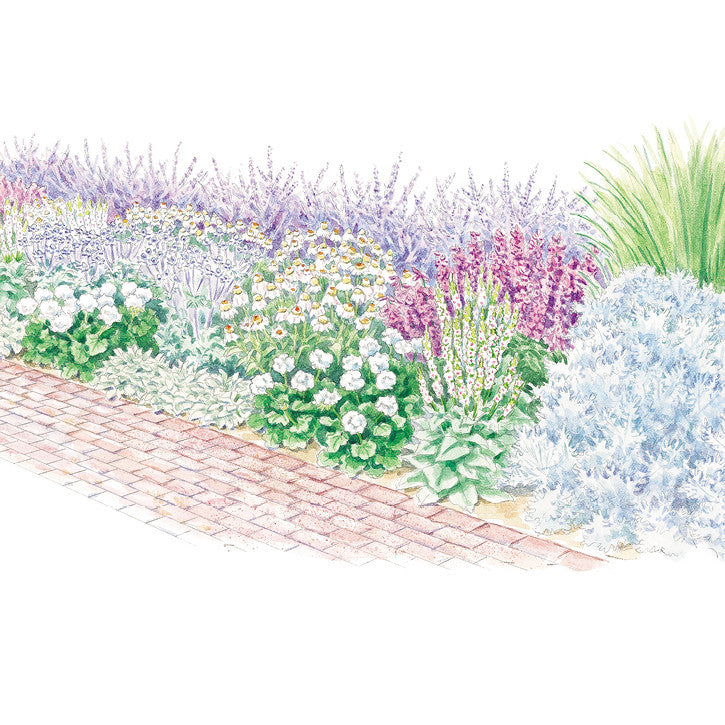 Full Sun Garden - Drought-Tolerant Border Garden Plan