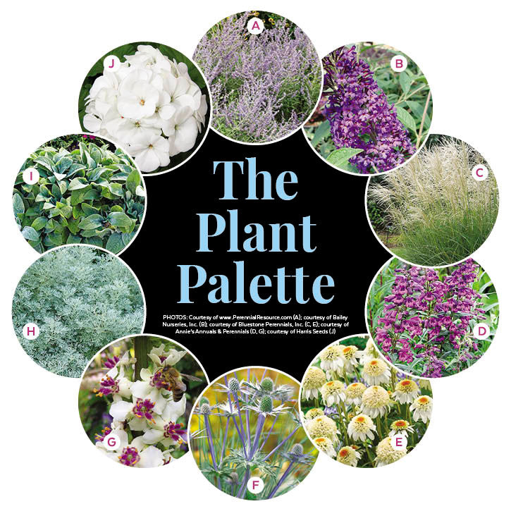 Full Sun Garden - Drought-Tolerant Border Garden Plan