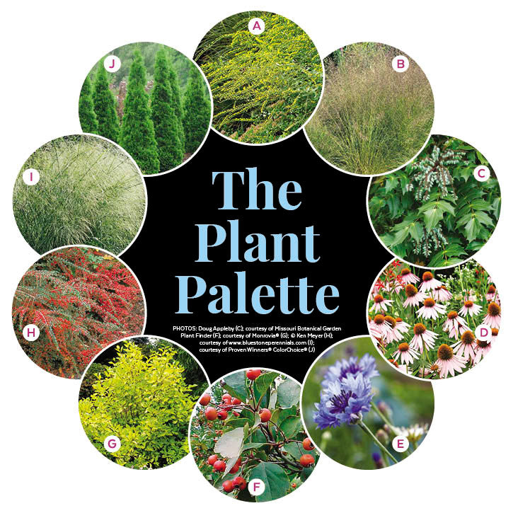 Feed Birds From Your Garden | Multiseason Garden Plan