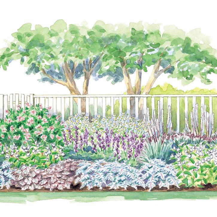 Cool-Toned Part-Shade Garden Border