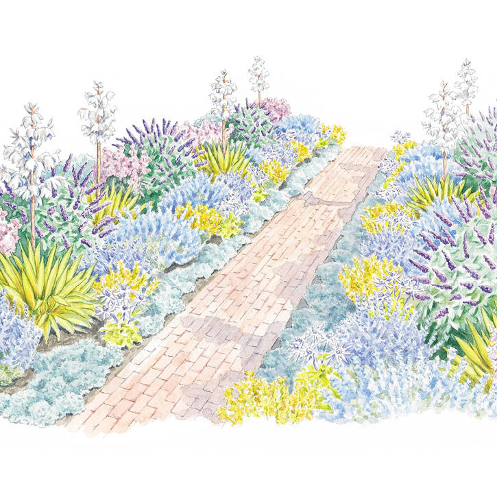 Drought-Tolerant Garden Walkway with Curb Appeal