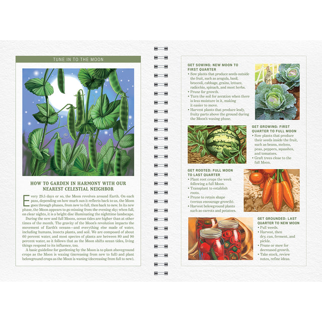 The Old Farmer's Almanac Garden Journal Volume 2