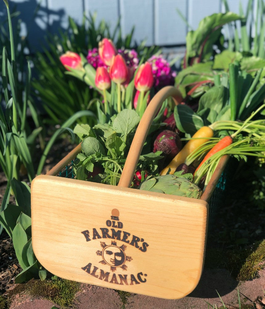 The Old Farmer's Almanac Garden Hod