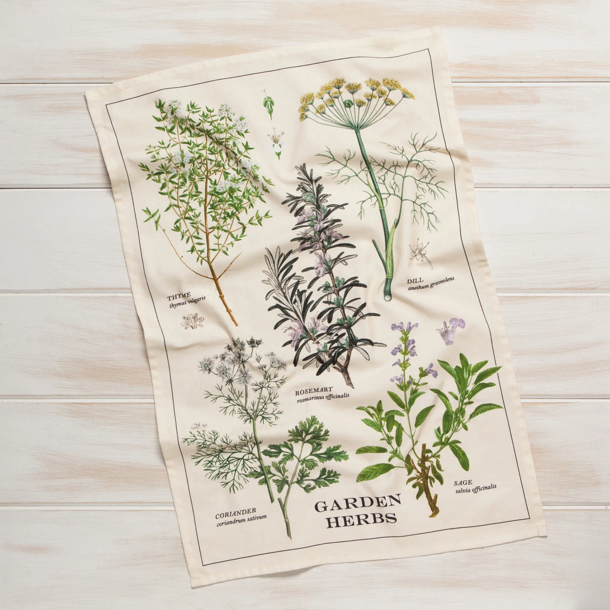 Garden Herbs Dishtowel