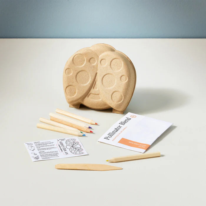 Curious Critters Garden Kit