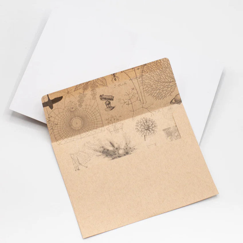 a kraft envelope open to reveal science themed print inside of the envelope