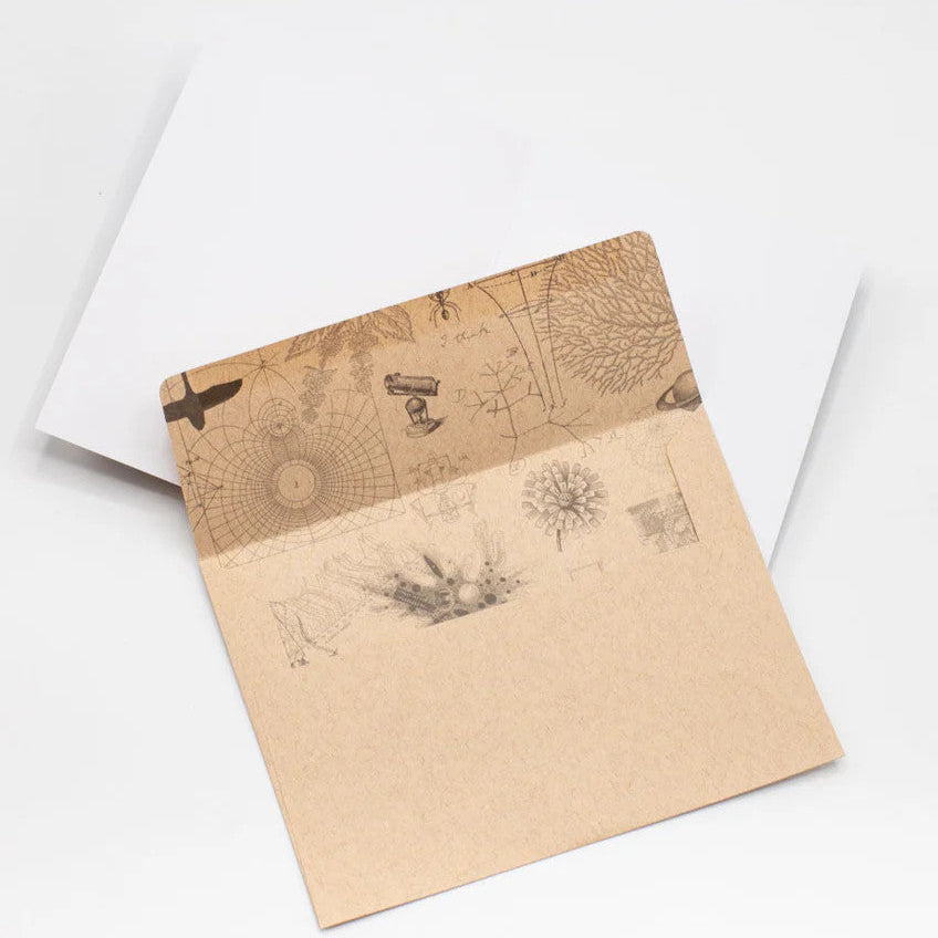 a kraft envelope open to reveal science themed print inside of the envelope