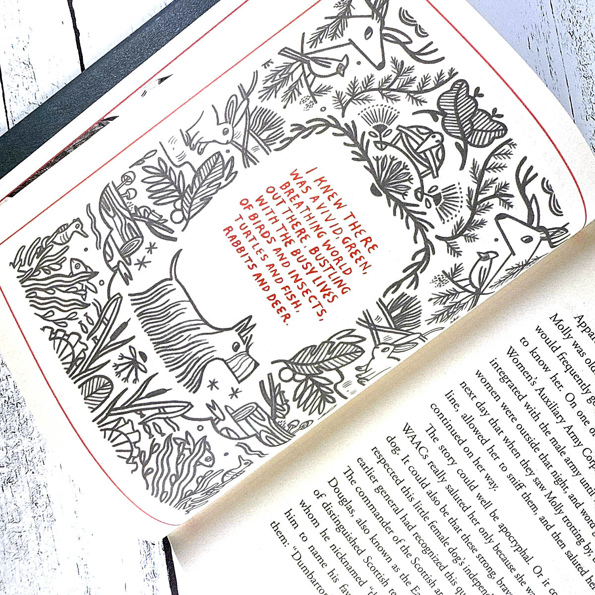 How to Be a Good Creature: A Memoir in Thirteen Animals