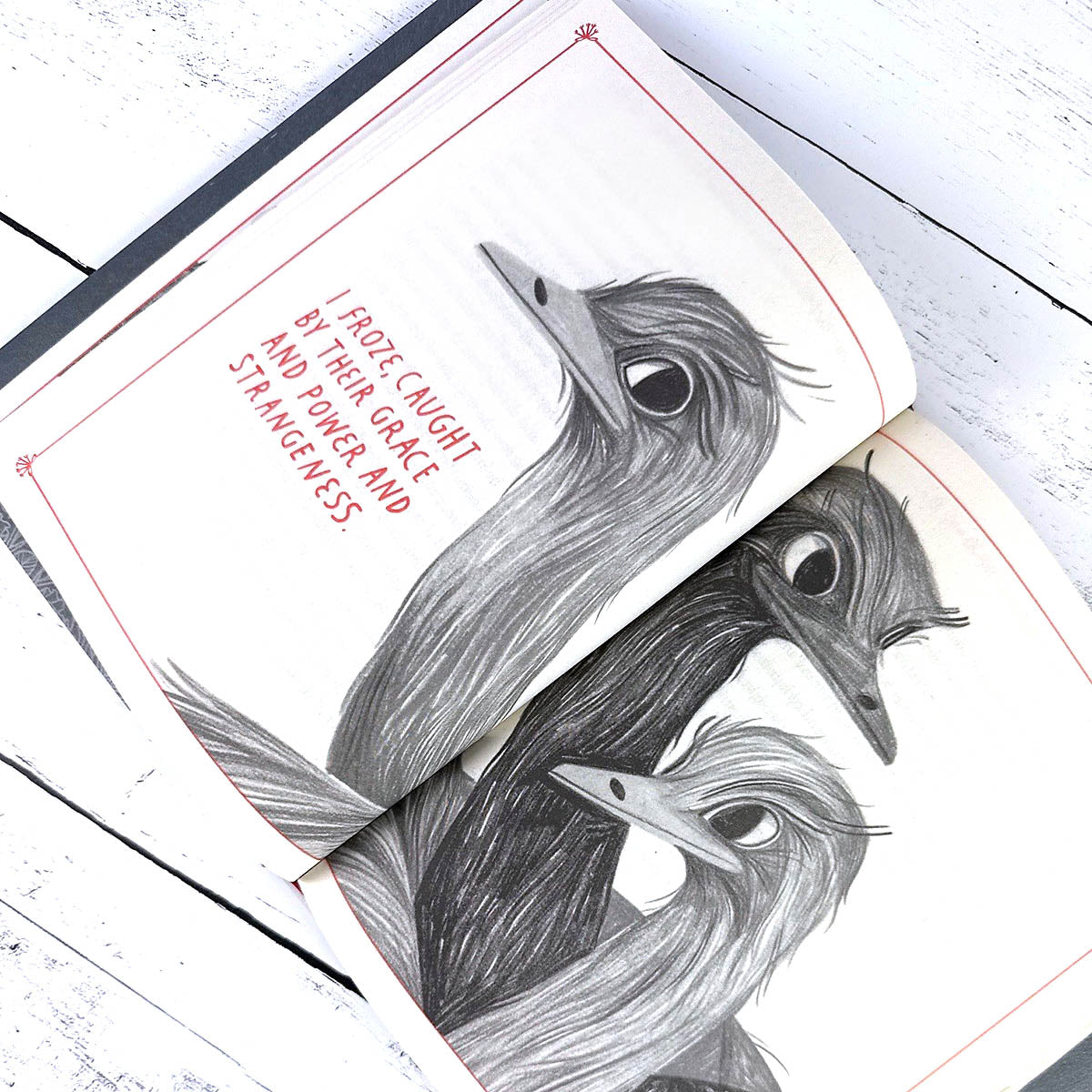 How to Be a Good Creature: A Memoir in Thirteen Animals