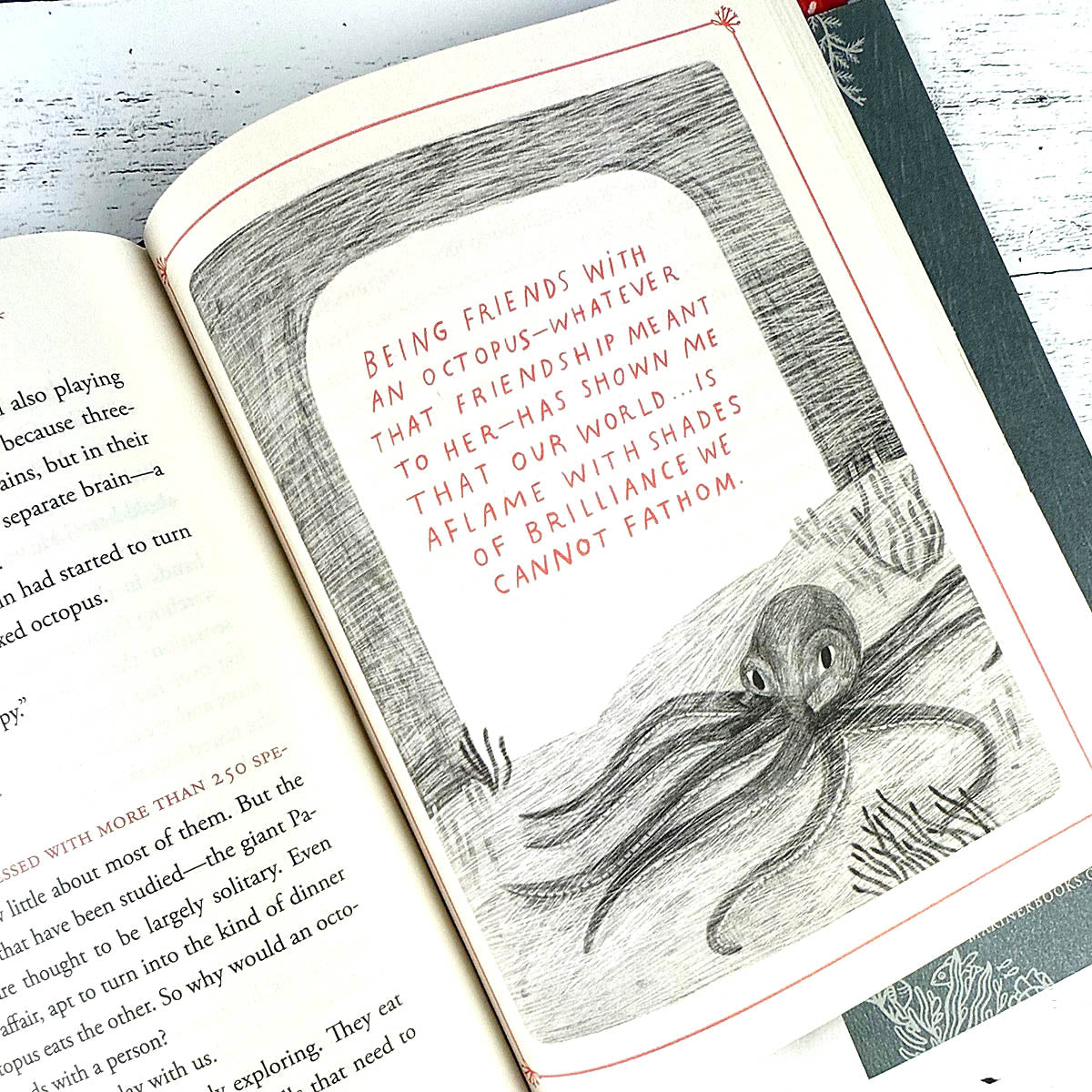 How to Be a Good Creature: A Memoir in Thirteen Animals