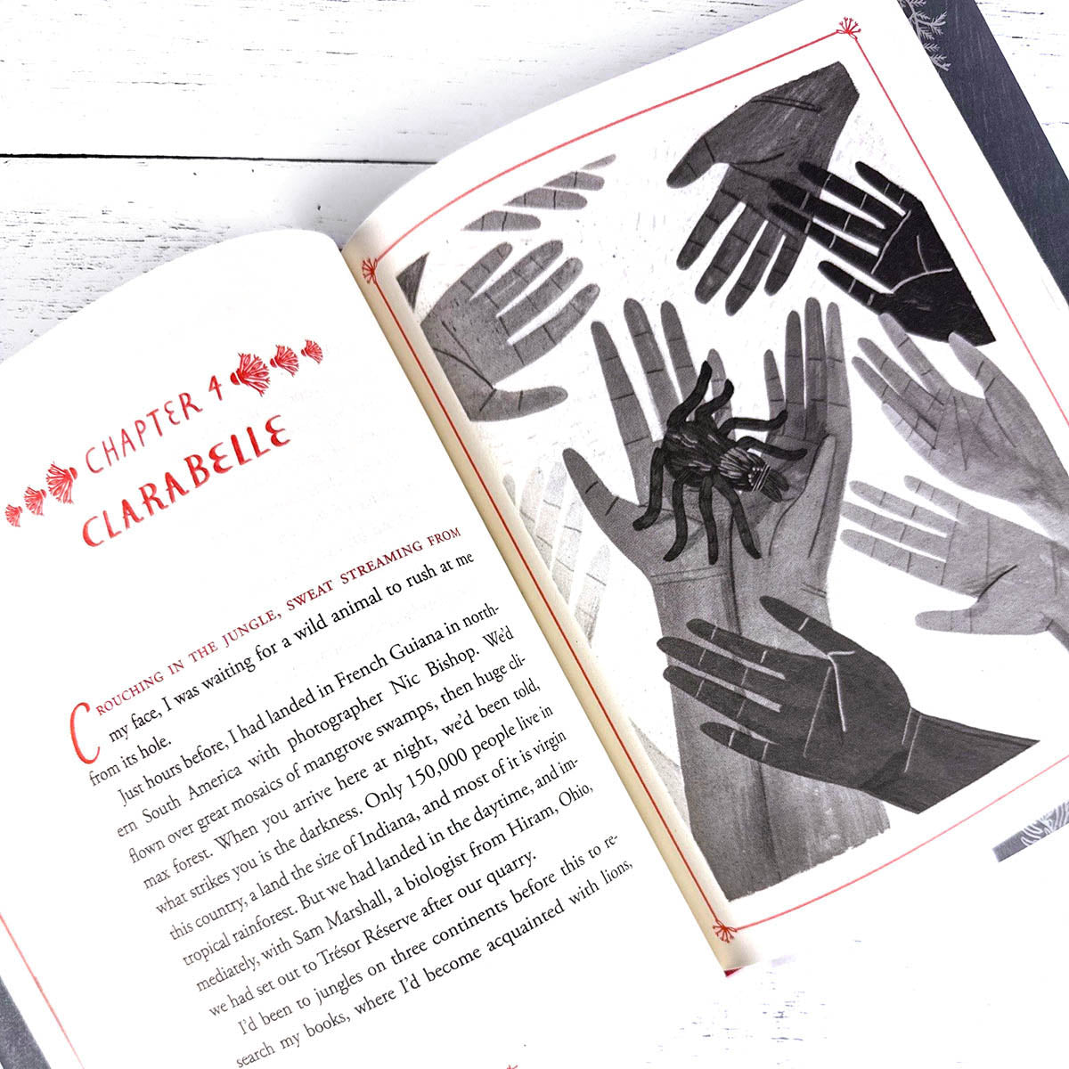 How to Be a Good Creature: A Memoir in Thirteen Animals