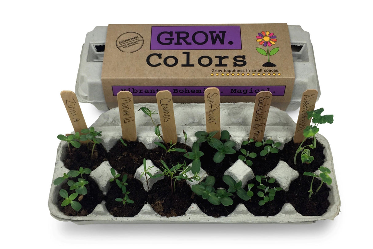 the grow colors garden kit in action with sprouted seeds in each section of the egg carton package and labeled with the wooden plant ID sticks