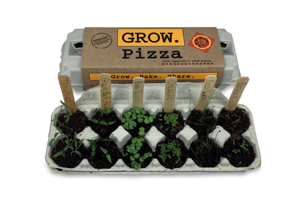 the grow pizza garden kit in action with sprouted seeds in each section of the egg carton package and labeled with the wooden plant ID sticks