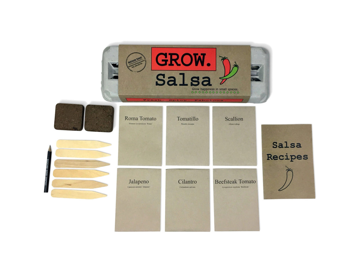 the package and contents of the grow salsa garden kit: seeds, starter soil, wooden plant ID sticks, pencil, salsa recipes, growing instructions