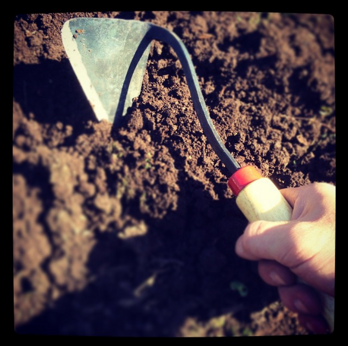 Handy Hoe
