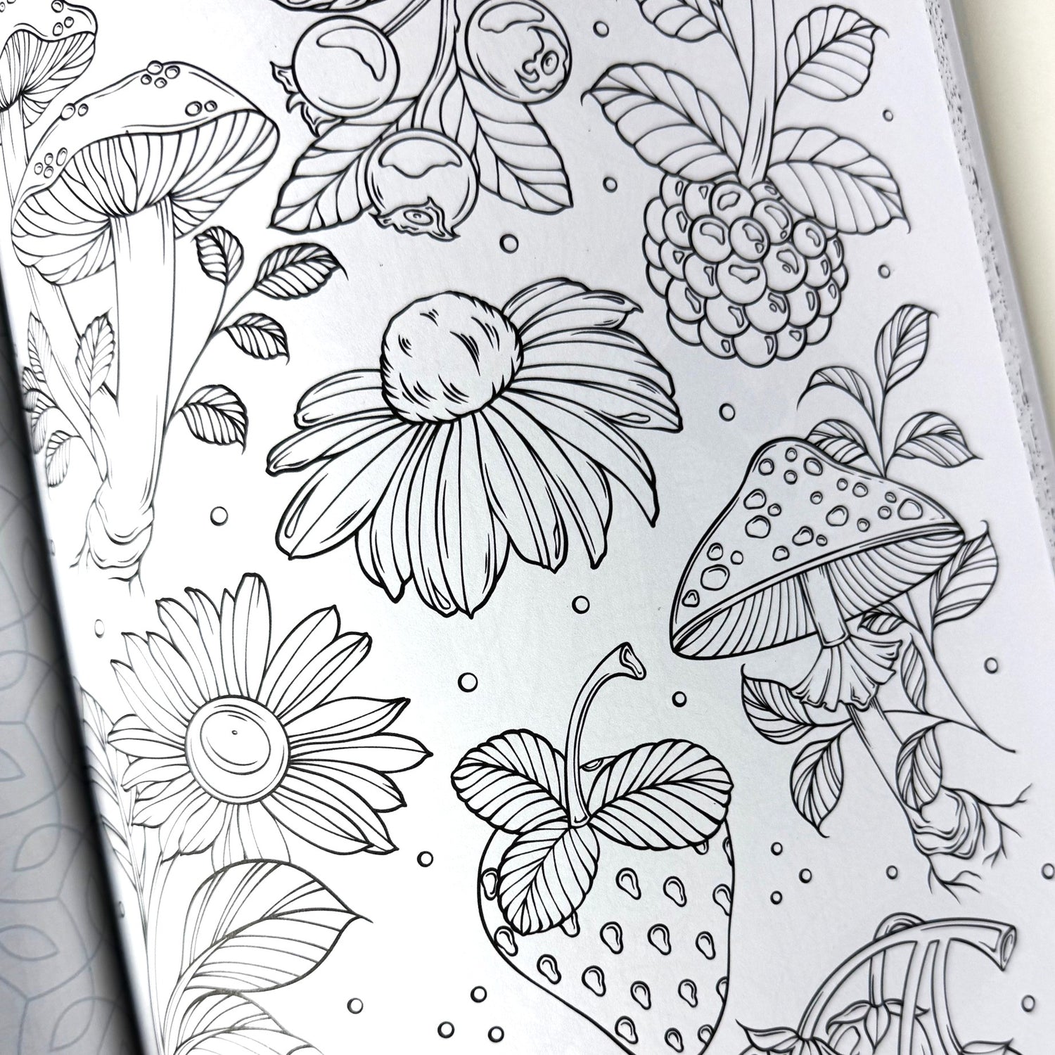 Healing Vibes - Coloring for Calm