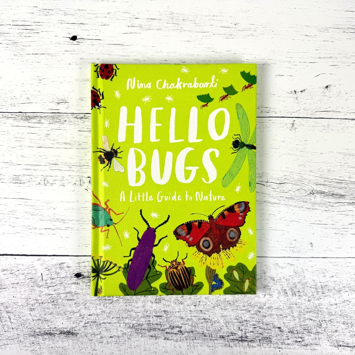 Hello Bugs: A Little Guide to Nature
