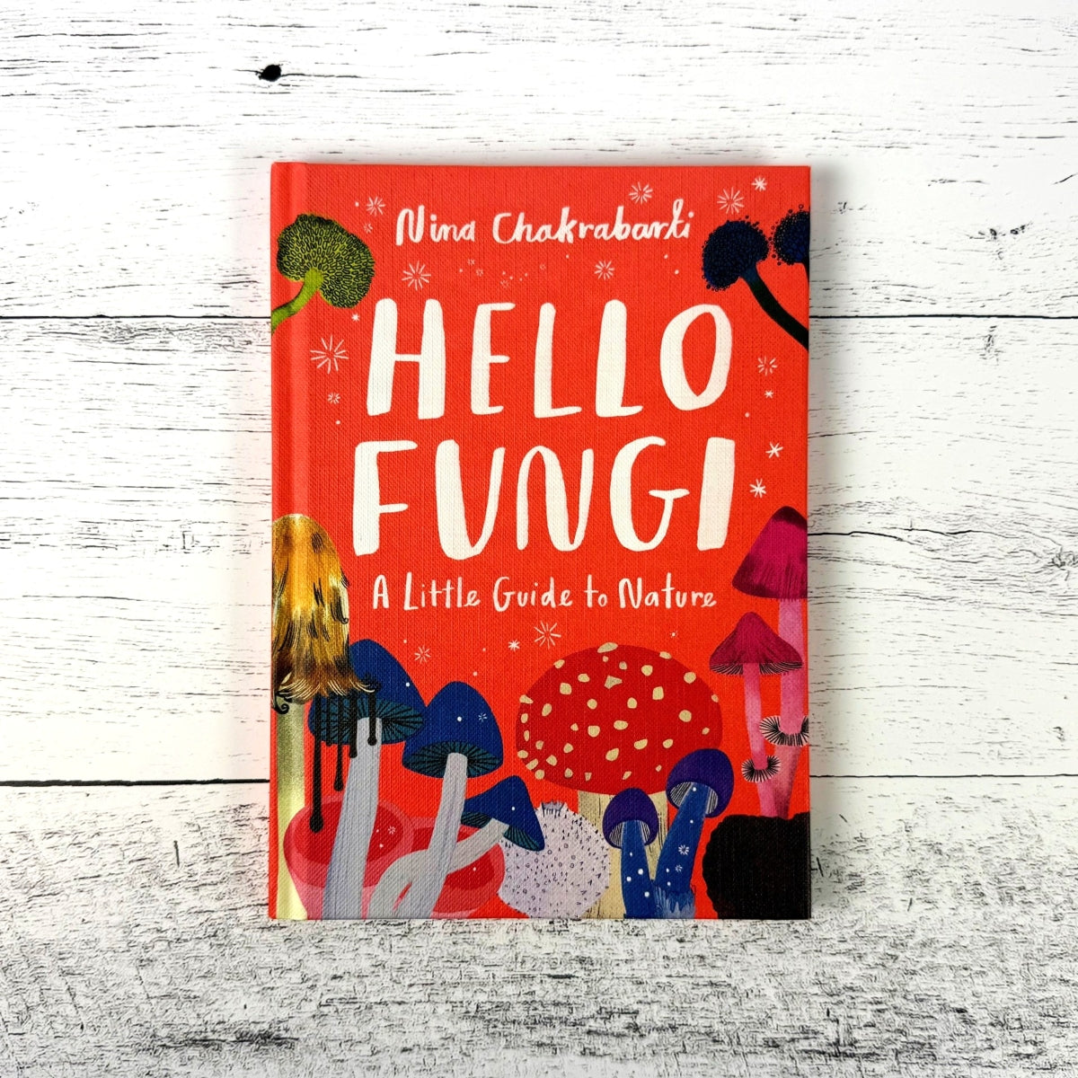 Hello Fungi: A Little Guide to Nature