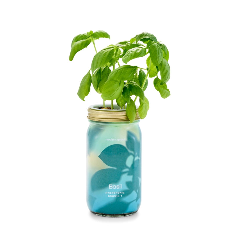 Herb Garden Jar - Basil