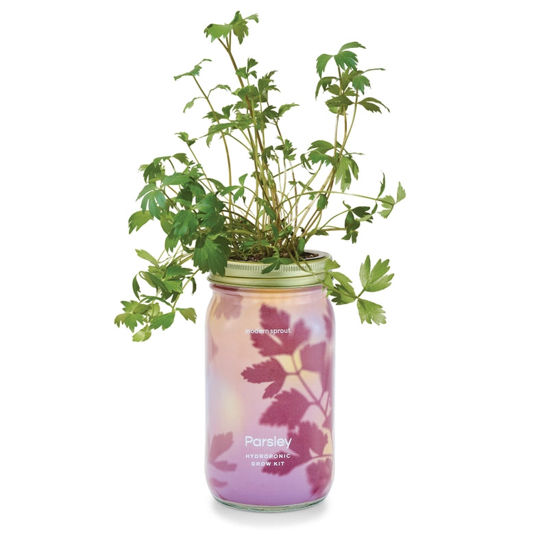 Herb Garden Jar - Parsley