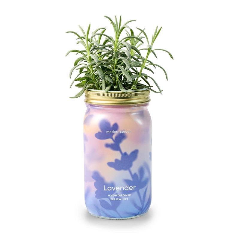 Herb Garden Jar - Lavender