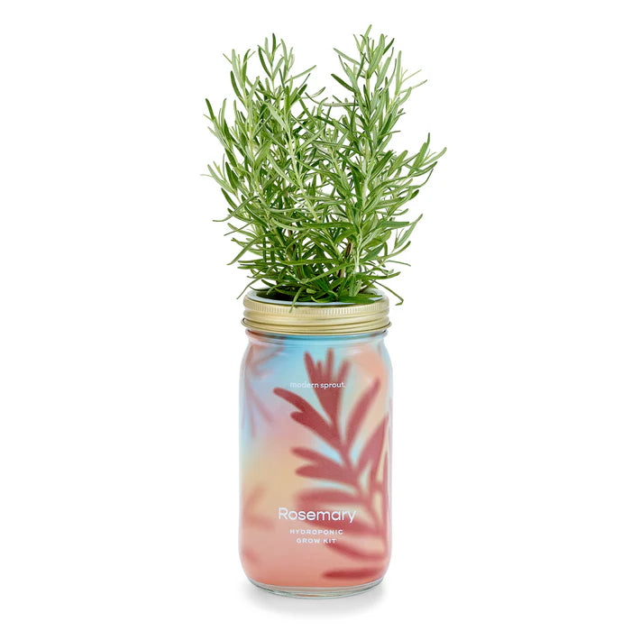 Herb Garden Jar - Rosemary