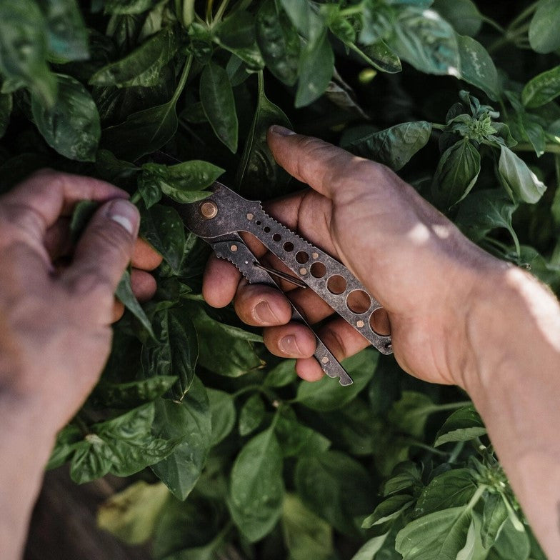 Herb Harvest + Strip Tool