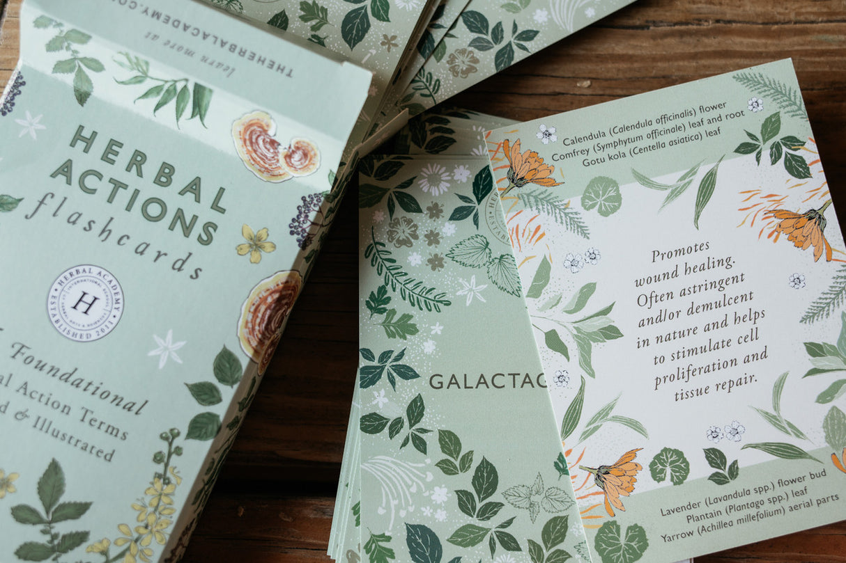 Herbal Actions Flashcards