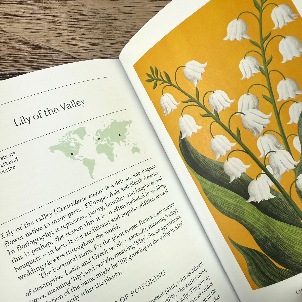 The Hidden Histories of Flowers