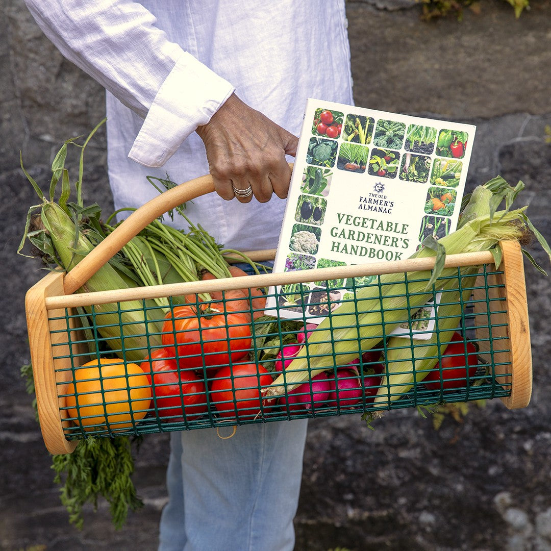 Person holding a wood and wire garden hod full of fresh vegetables with a 'Vegetable Gardener's Handbook' inside.